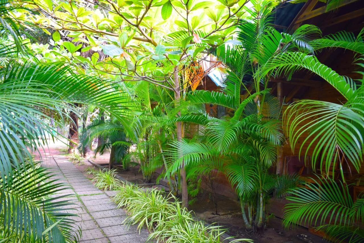 Chalet Sasvi *