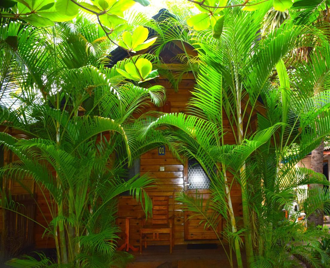 Sasvi Chalet *