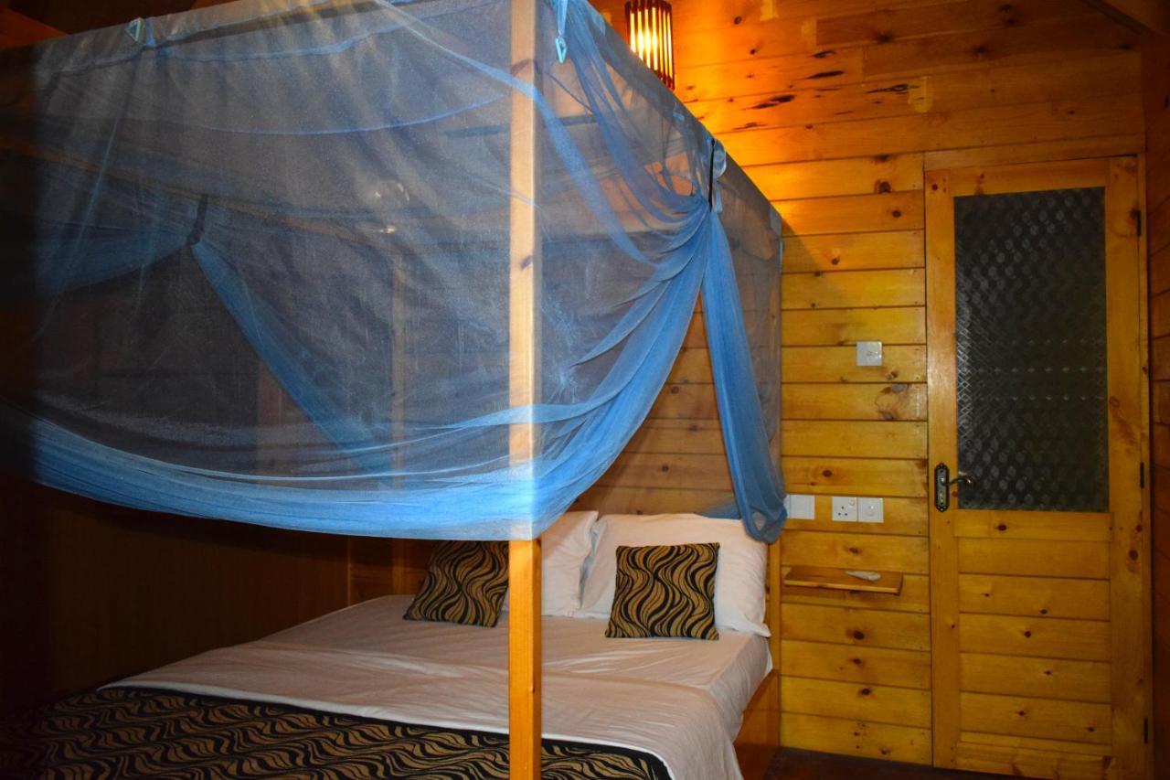 Sasvi Chalet *