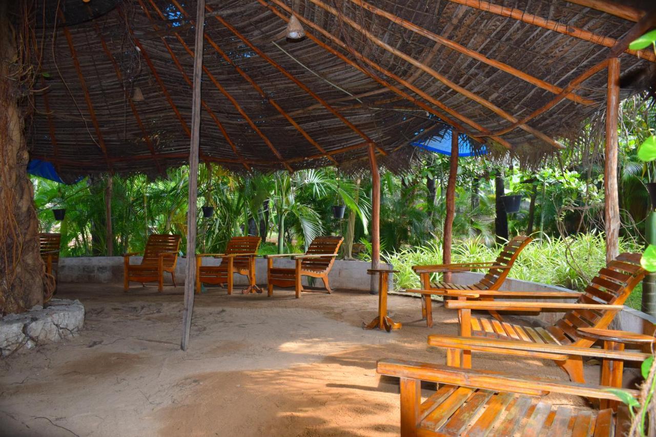 Sasvi Chalet *