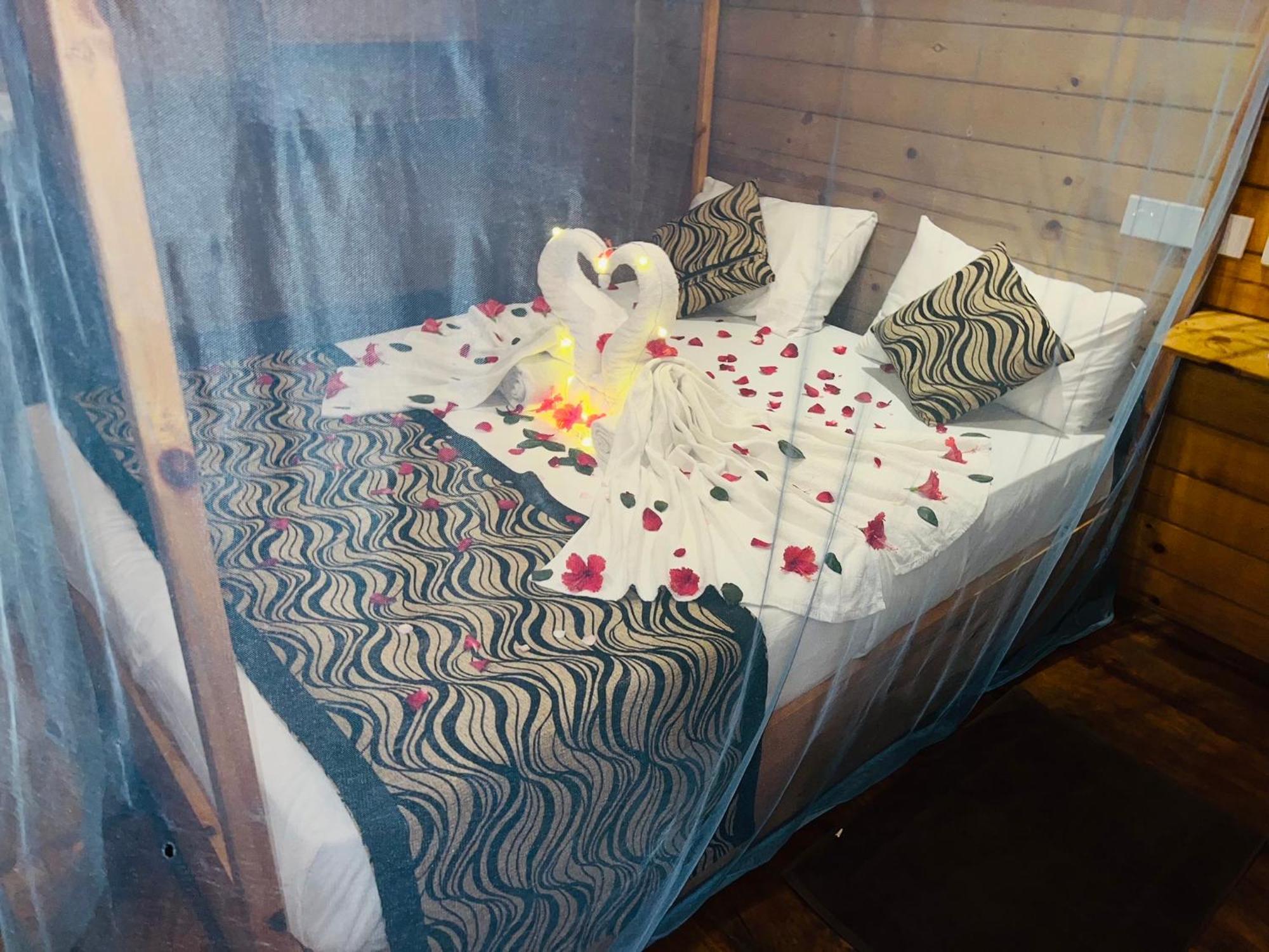 Sasvi Chalet