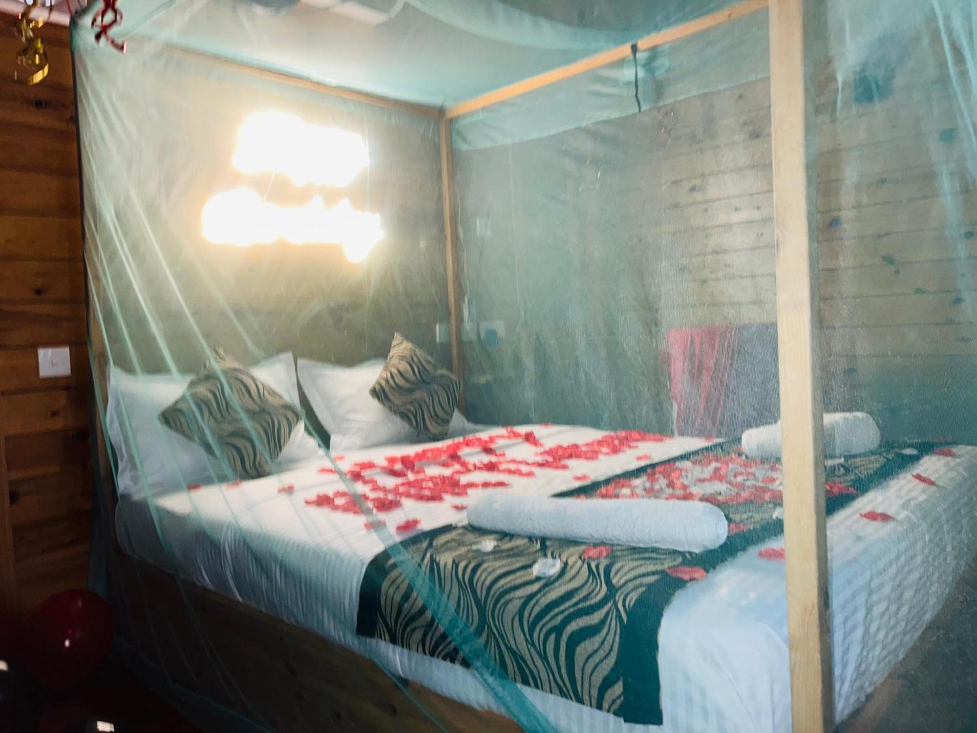 Chalet Sasvi